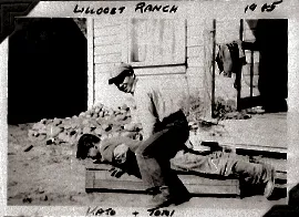 Traditional massage therapy practice